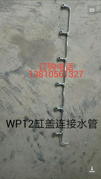 ׸ǷܣWP12ֱ׸
