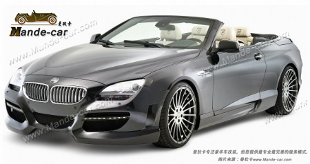 6ϵF12 F13 HAMANNװ׼¿