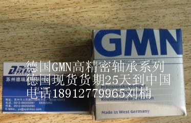 GMNFKN6208,GMN,ϵ