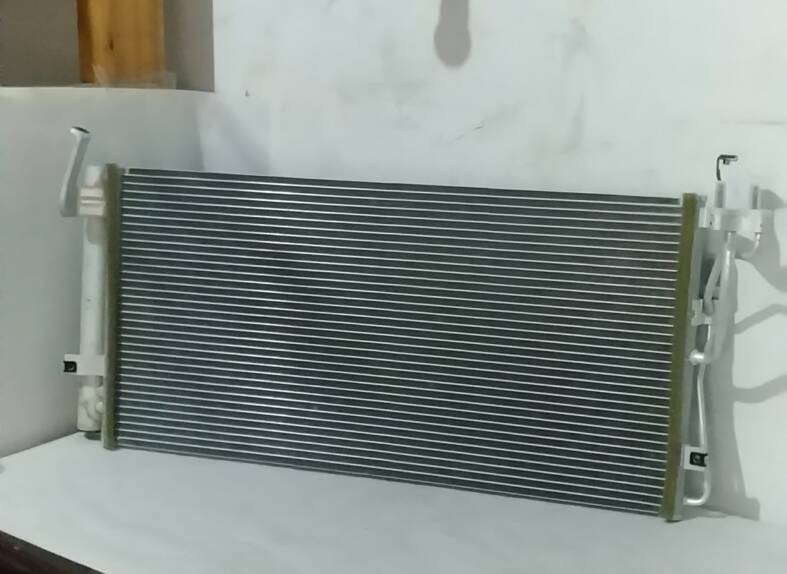 �������ܳ�